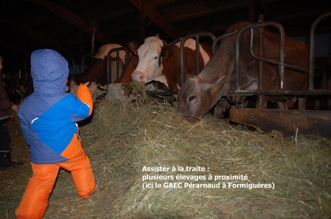 La-Haut Les Angles  Kültér fotó